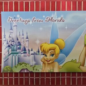 Vintage Disney Florida Postcard Collectiom